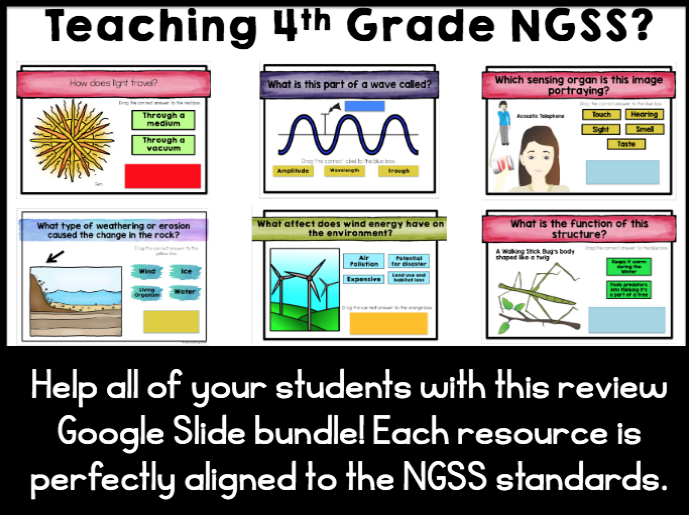 4th Grade Science Task Cards for Review and Games - Printable and Google Slides - Image 4