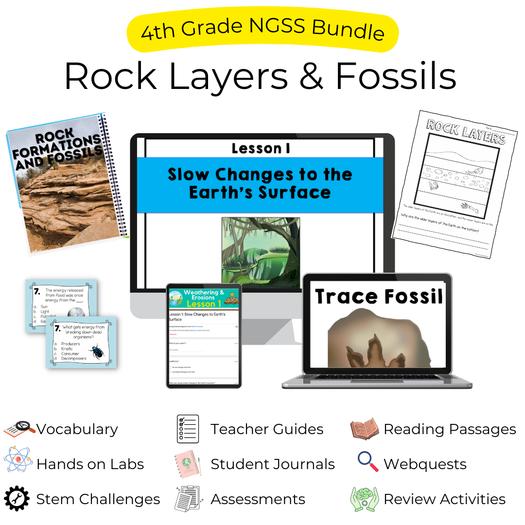 rock formations and fossils unit