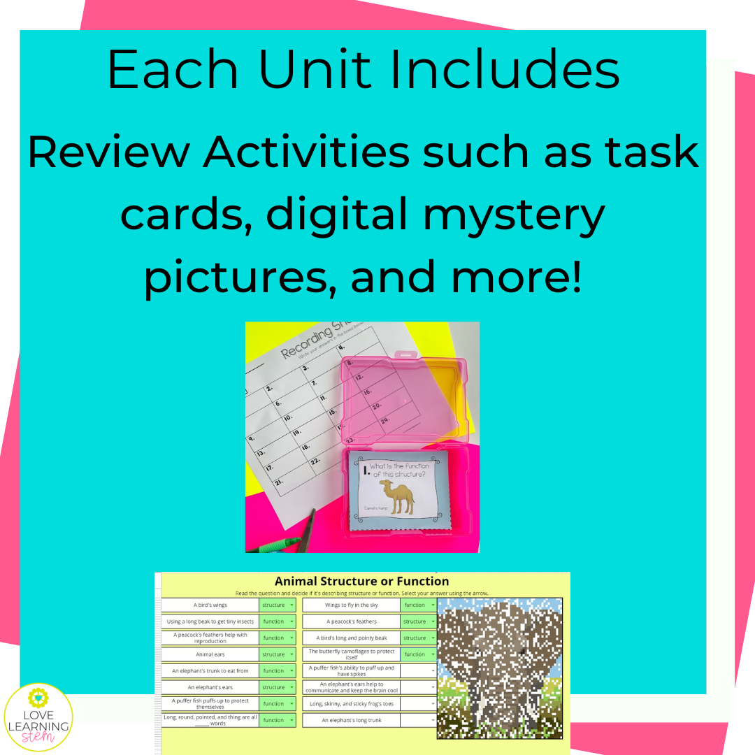 4th Grade Energy Unit - Digital and Printable Curriculum NGSS Aligned - Image 6