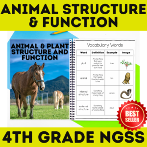animal structure and function unit 4th grade
