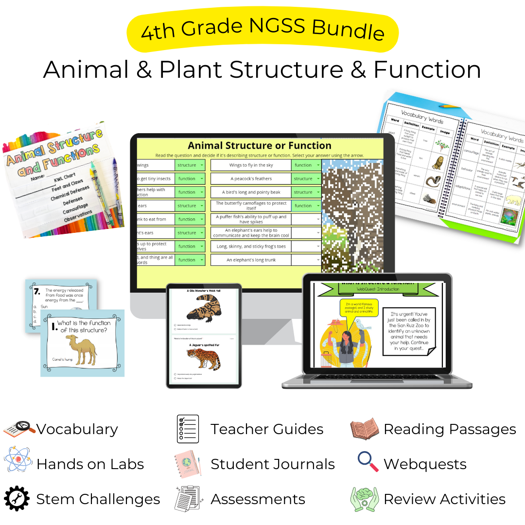 animal plant structure and function unit
