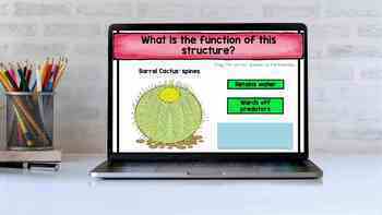 Animal and Plant Structure and Function Task Cards 4-LS1 Review Activity Games - Image 4